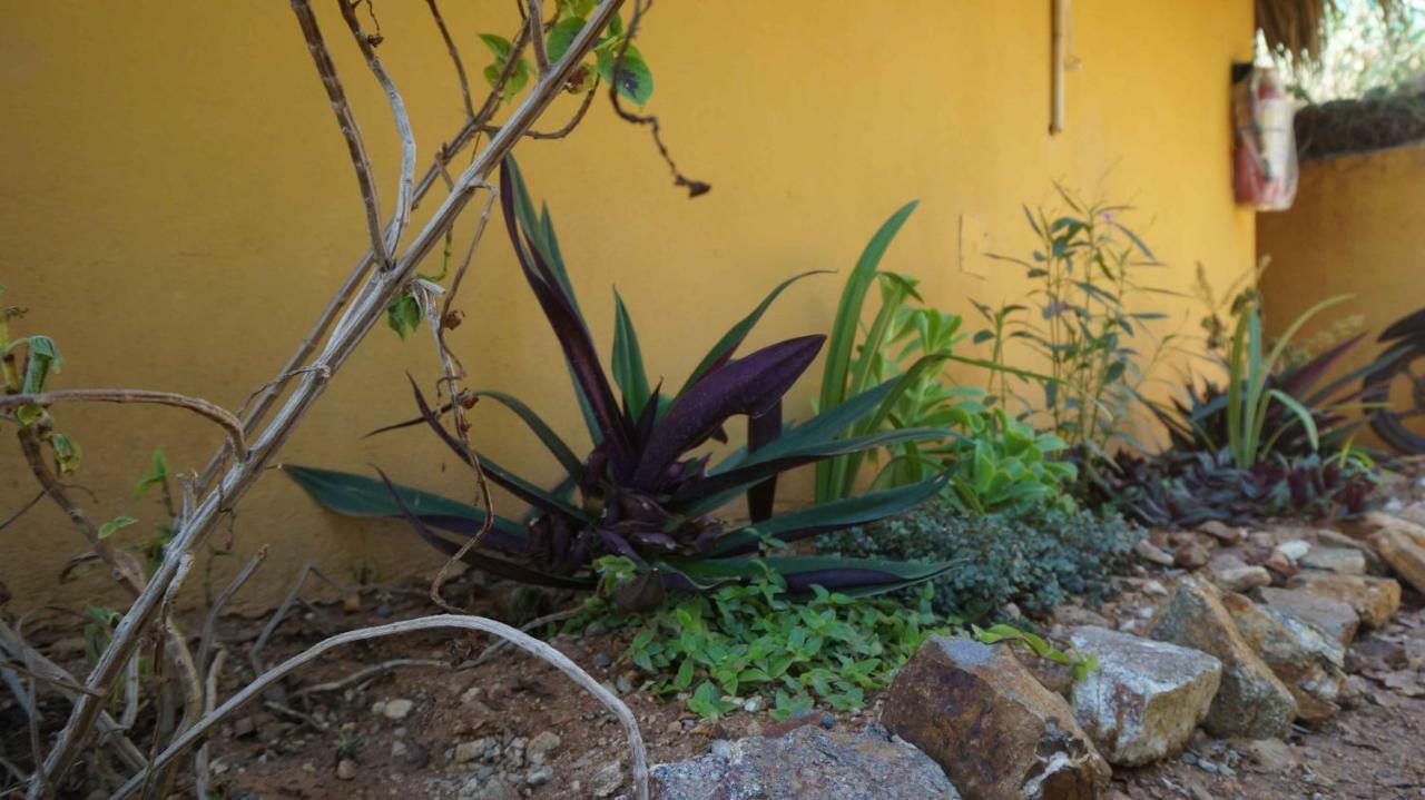 Casa Aditi Mazunte Exterior photo